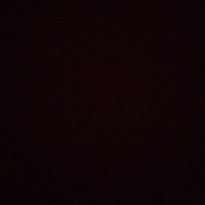 Meet your Posher, Kitty